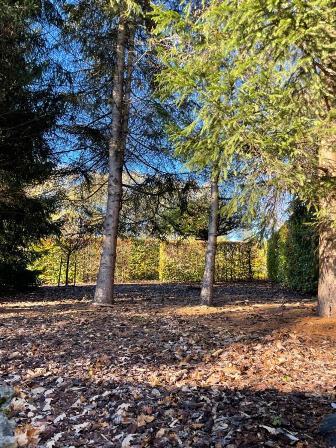 Chalet Du Val 53 Vesin エクステリア 写真